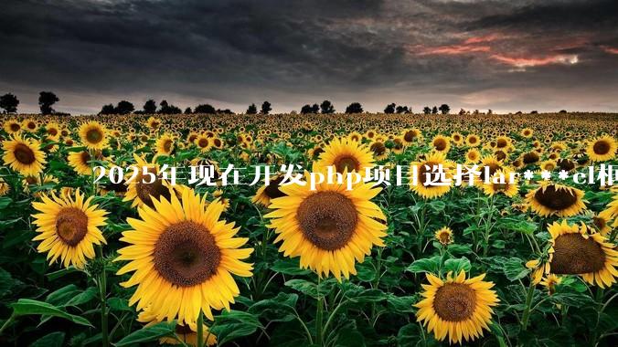 2025年现在开发php项目选择lar***el框架好还是thinkphp框架好？