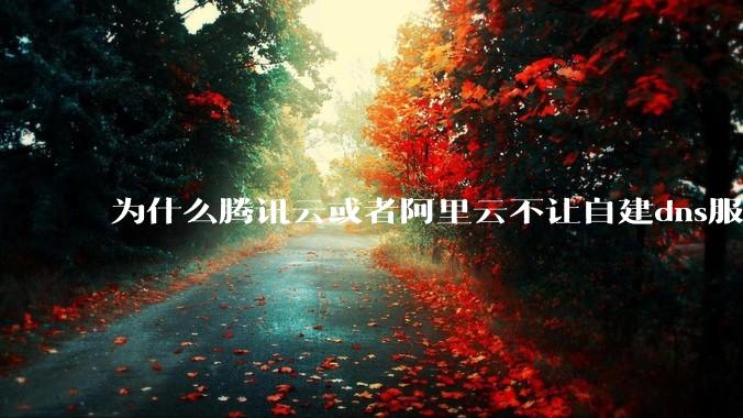 为什么腾讯云或者阿里云不让自建dns服务器?