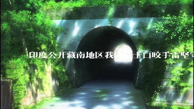 印度公开藏南地区我方战士口咬手雷坚守的***，是想表达什么？