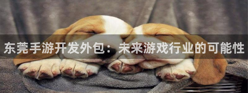 银河(galaxy)官网开奖走势：东莞手游开发外包：未来游戏